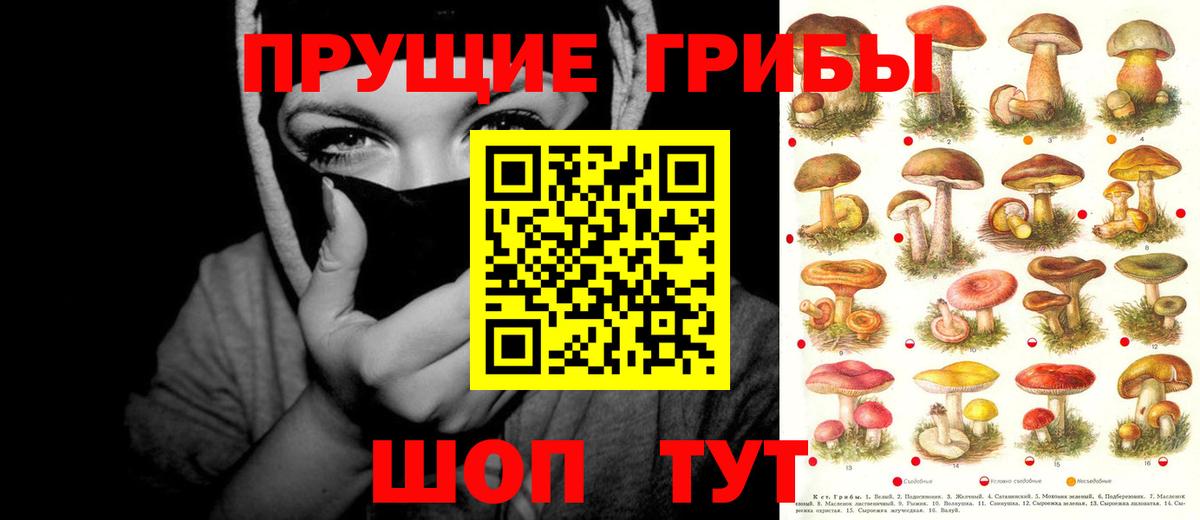 Миллерово  Галлюциногенные грибы Psilocybine cubensis  Вход с VPN 